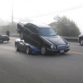 Chevy Corvette and Mercedes Benz