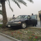 Saudi driver crash his ford into a palm tree