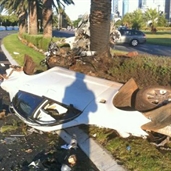 Two killed after car hits palm tree at high speed